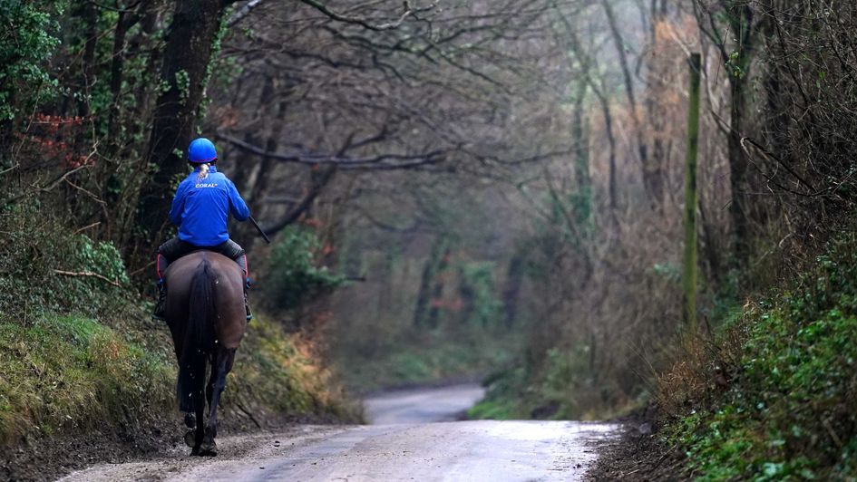 A country road close to Venn Farm Stables