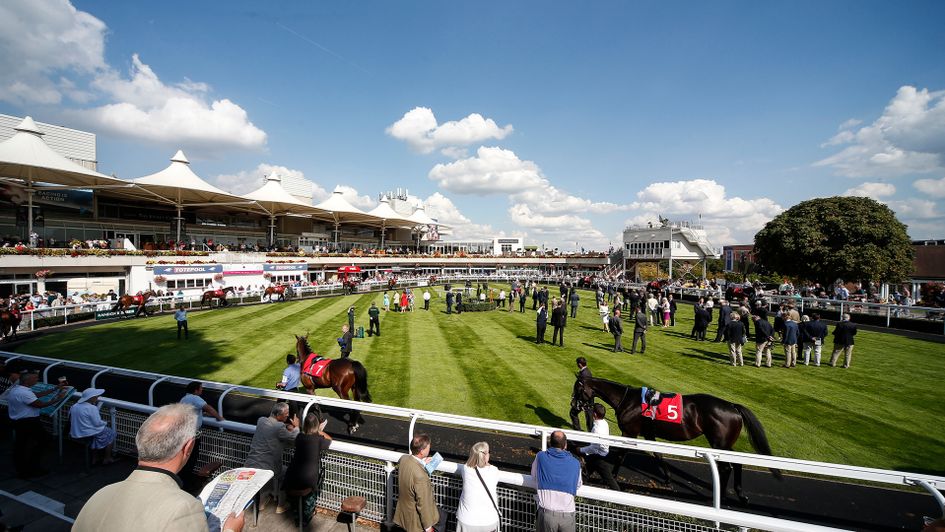 Horses parade in the sun at Sandown Park