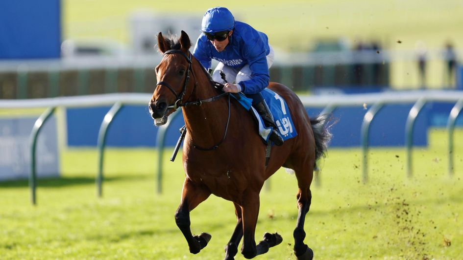 It's oh so easy for Arabian Crown in the Zetland