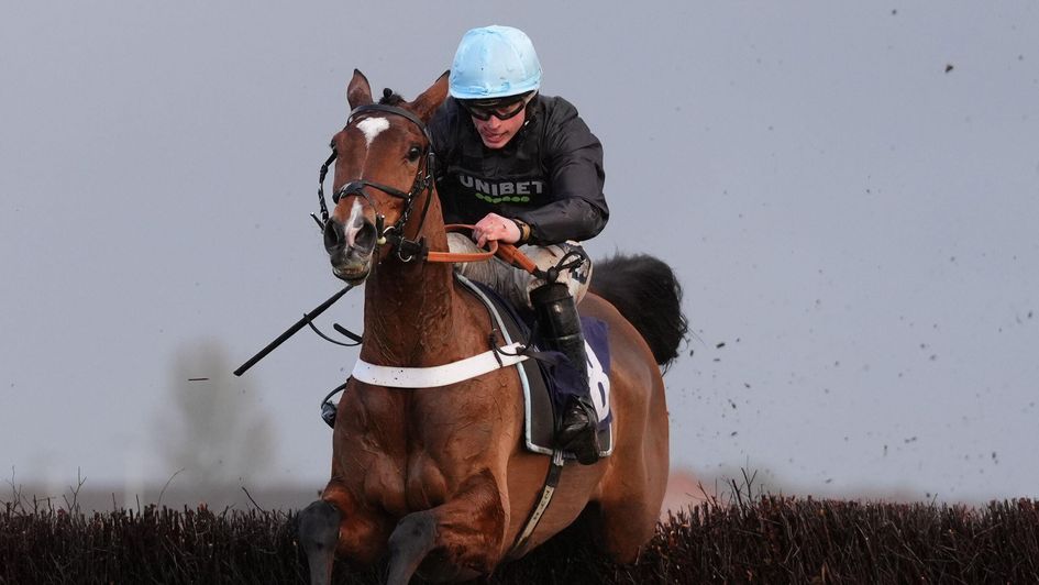 Holloway Queen completes a double for Nicky Henderson