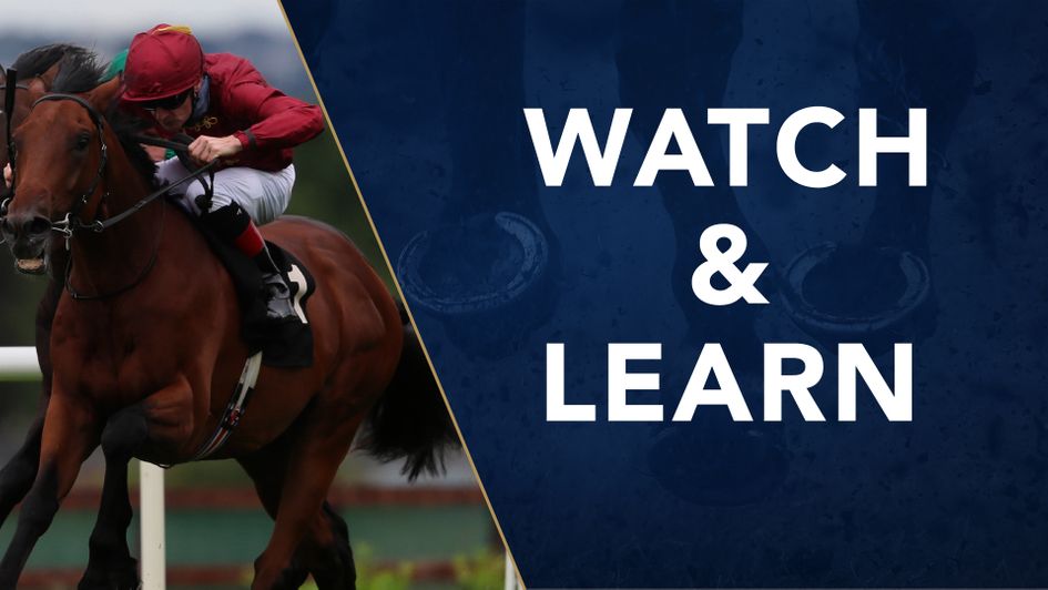 Buckaroo can be upgraded for his run at Saint-Cloud