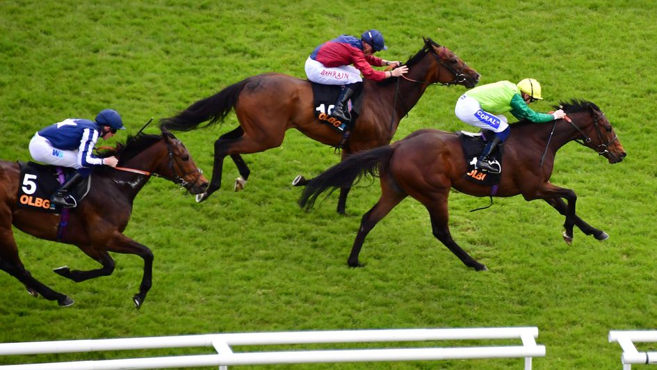 Metal Merchant comes out on top