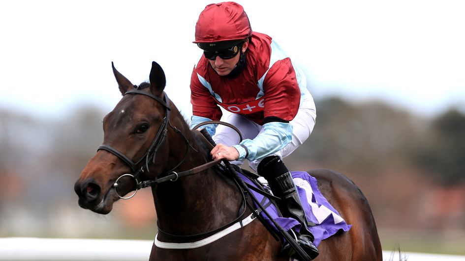 Vintage Clarets: Could go to Ascot on Wednesday