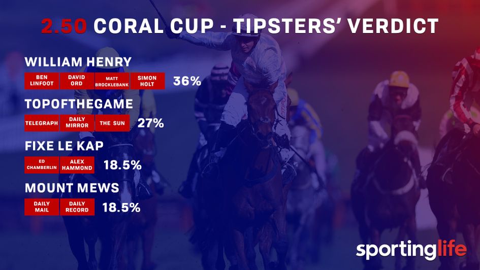 Tipsters' verdict Coral Cup