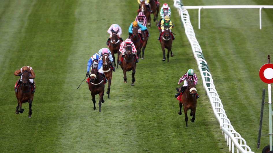 Me Too Please is clear at Aintree