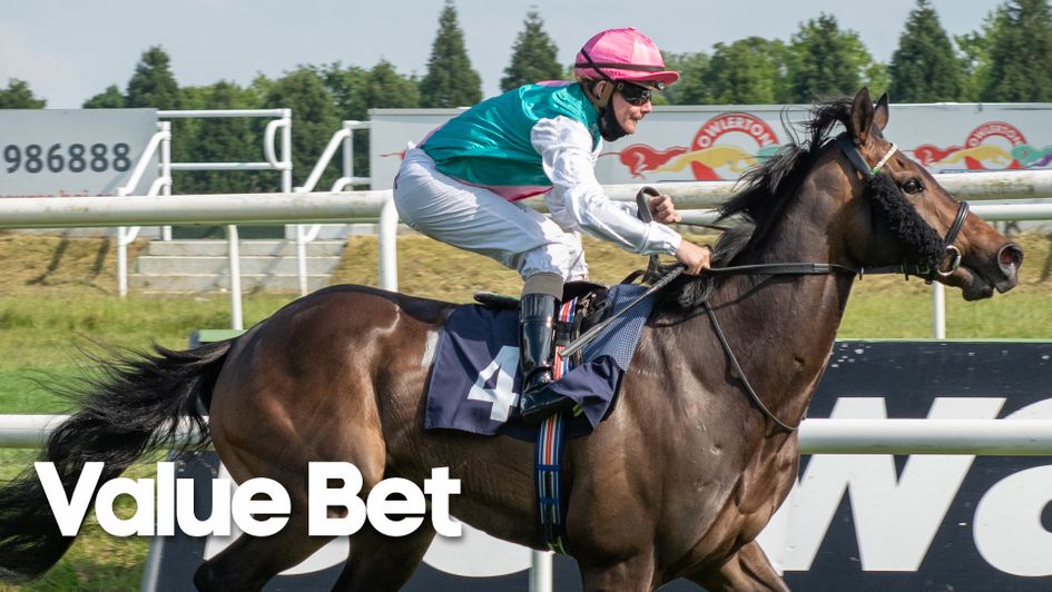 Indigo Lake looks a well handicapped gelding