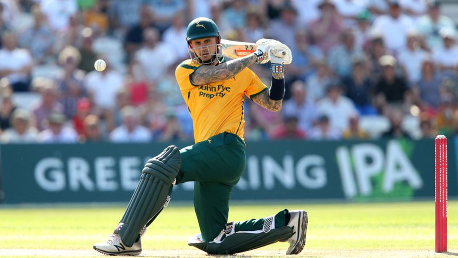 Alex Hales has been in sparkling form this summer