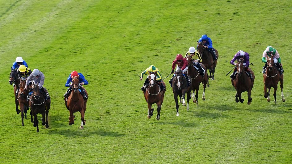 Ripple Effect (maroon silks) could be a juvenile to follow