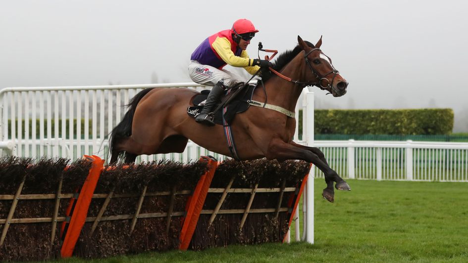 Harry Senior winning at Cheltenham