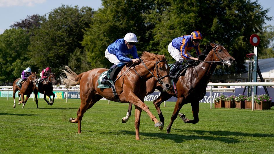 Distant Storm (near side) edges the verdict in a thrilling finish