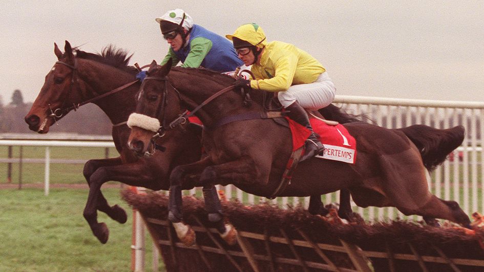 Dato Star was a Cheltenham Festival winner for Malcolm Jefferson