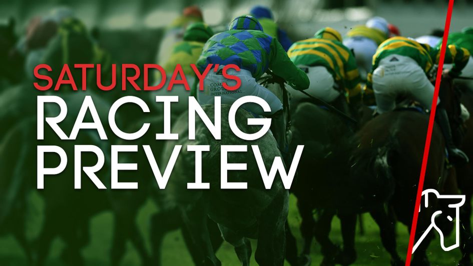 Check out our race-by-race tips and preview for Saturday's action