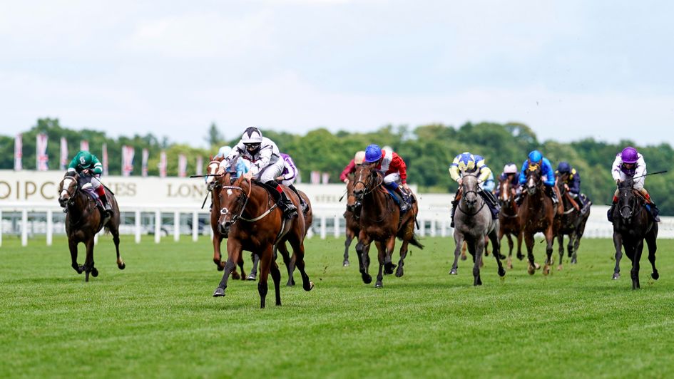 Dandalla pours in on under Ben Curtis