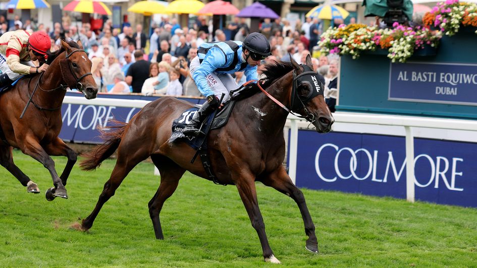 Asfoora wins the Nunthorpe Stakes
