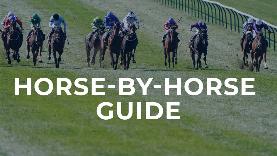 Who caught the eye in the Nell Gwyn?