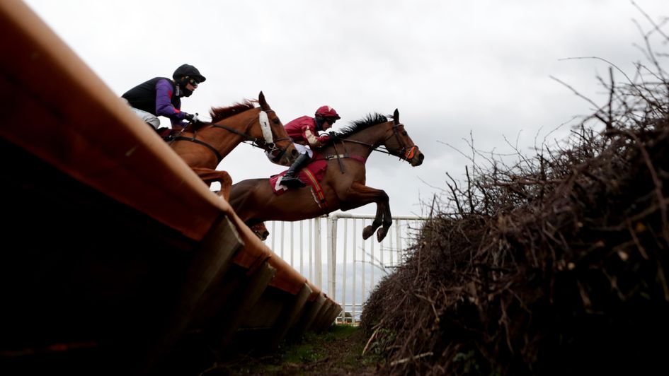 The Two Amigos (far side)