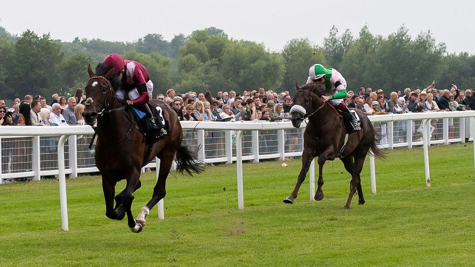 Nahraan - Rose Of Lancaster favourite