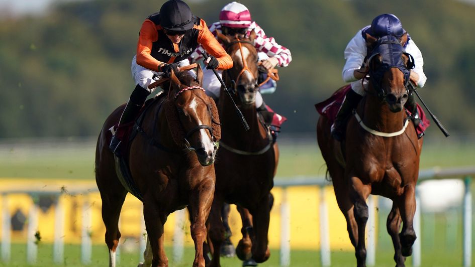 Raasel won well at Haydock in September