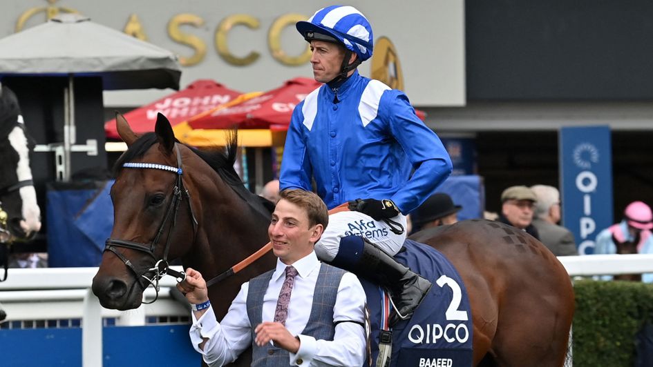 Baaeed prepares to head to the start at Ascot