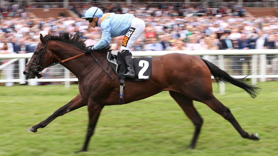 Boitron maintains his unbeaten record at Newbury