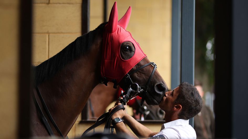 Spy Chief pictured ahead of the Visit Malta Hungerford Stakes