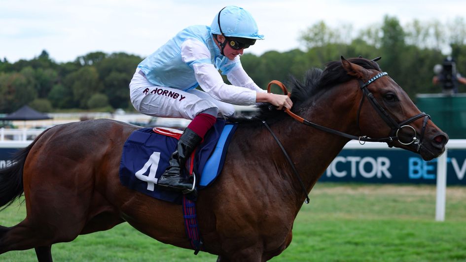 Gambling Man wins under Rob Hornby