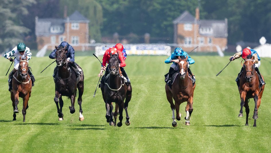 Action from the Commonwealth Cup Trial Stakes