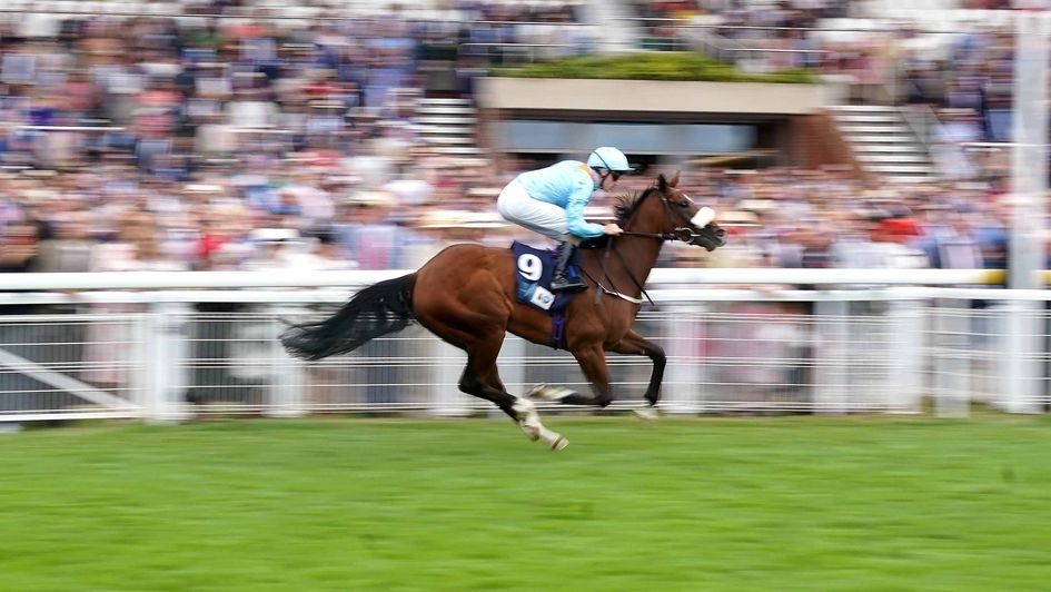The Platinum Queen is a brilliant winner at Goodwood