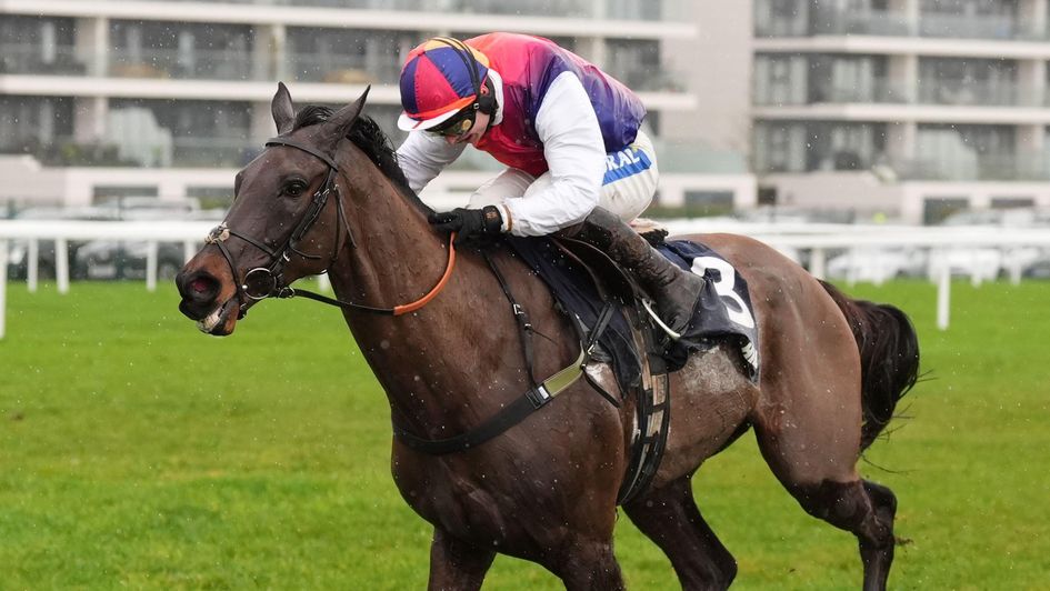 Haiti Couleurs wins the Denman