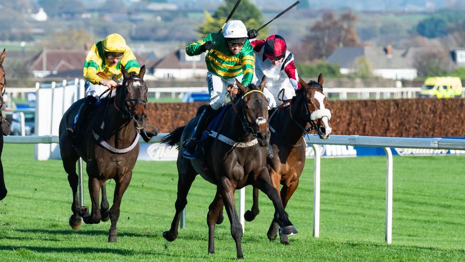 Impose Toi: Stayers' Hurdle contender?
