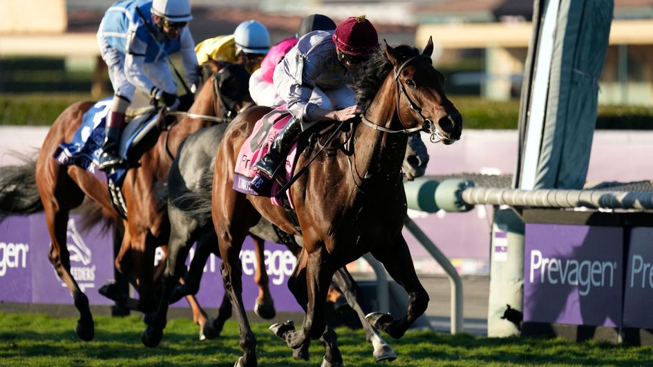 Unquestionable wins at Santa Anita