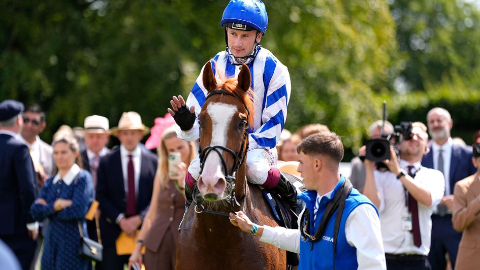 Oisin Murphy celebrates bringing up a Friday double on Seagulls Eleven