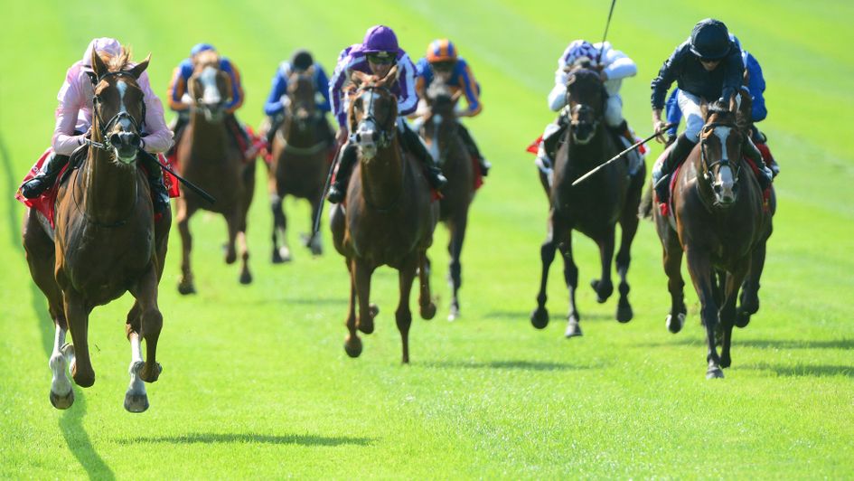 Sovereign routs his field in the Irish Derby