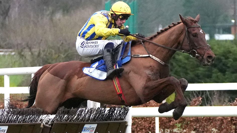 Doctor Steinberg impresses at the DRF