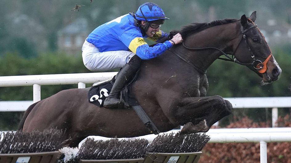 Saint Le Fort on his way to victory