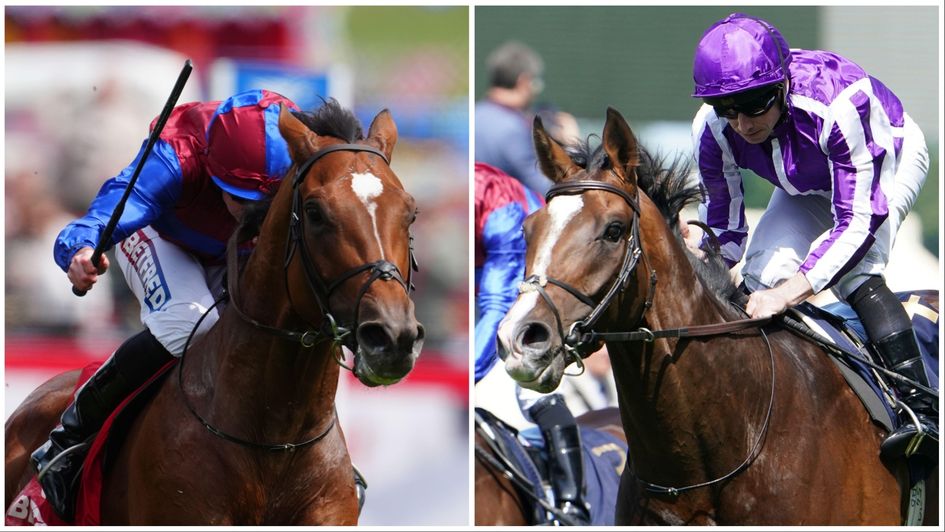 Jan Brueghel v Illinois at the Curragh