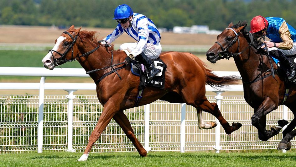 Seagulls Eleven and Oisin Murphy make all the running