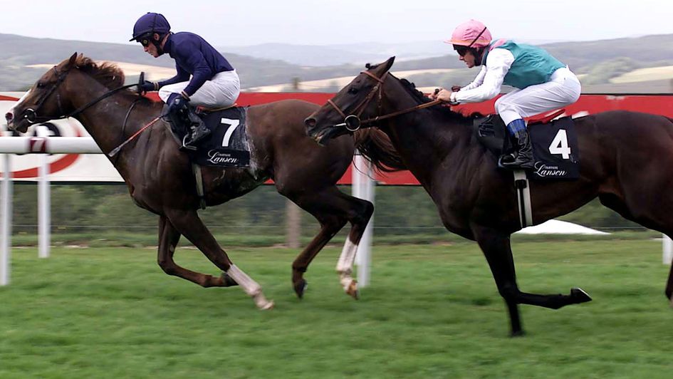 Dansili (right) chases home Giant's Causeway in the Sussex Stakes