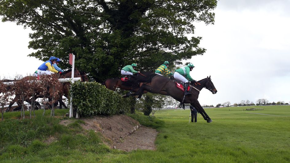 Action from Punchestown