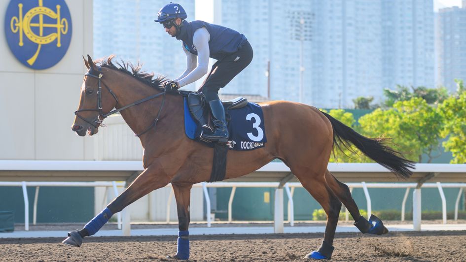 Docklands works at Sha Tin (Copyright: HKJC)