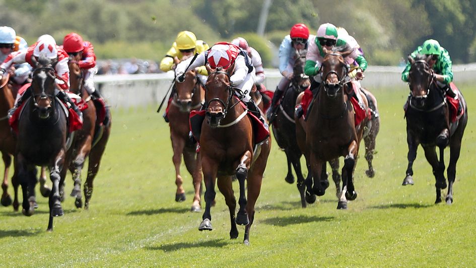 Copper Knight in action at York