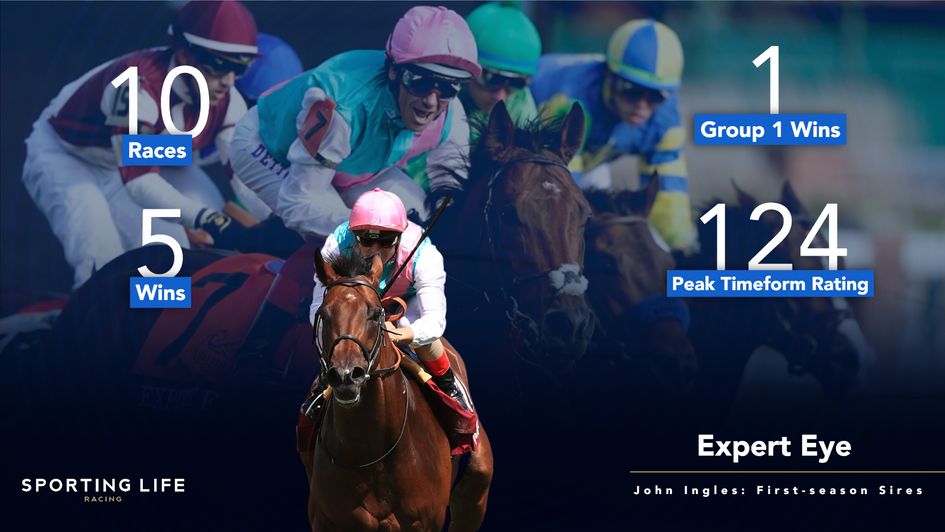 Expert Eye's progeny are eagerly-awaited