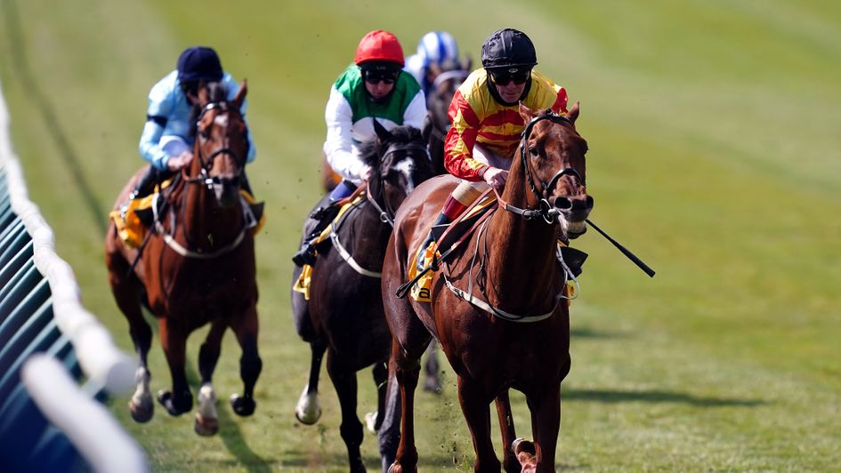 Sir Ron Priestley  makes all at Newmarket