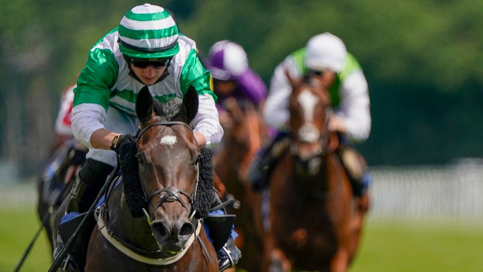 Dairerin runs out an impressive winner