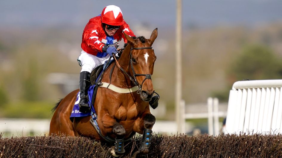 Editeur Du Gite jumps boldly at Aintree