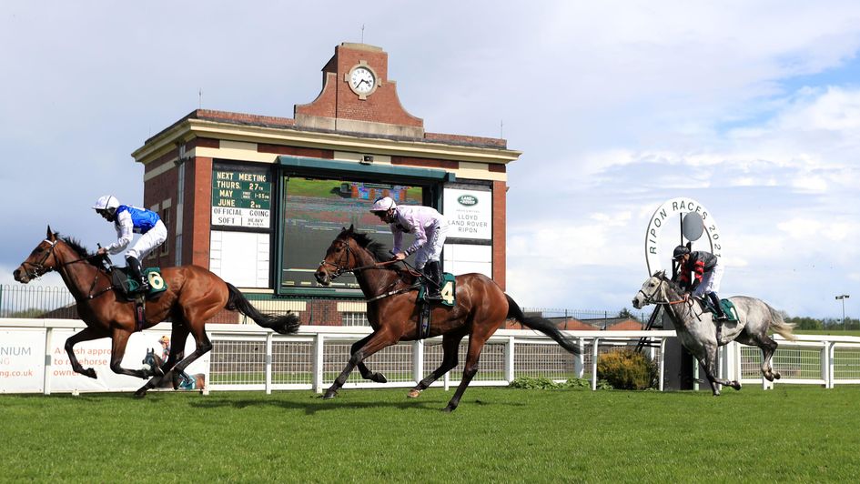 Ripon Racecourse - now