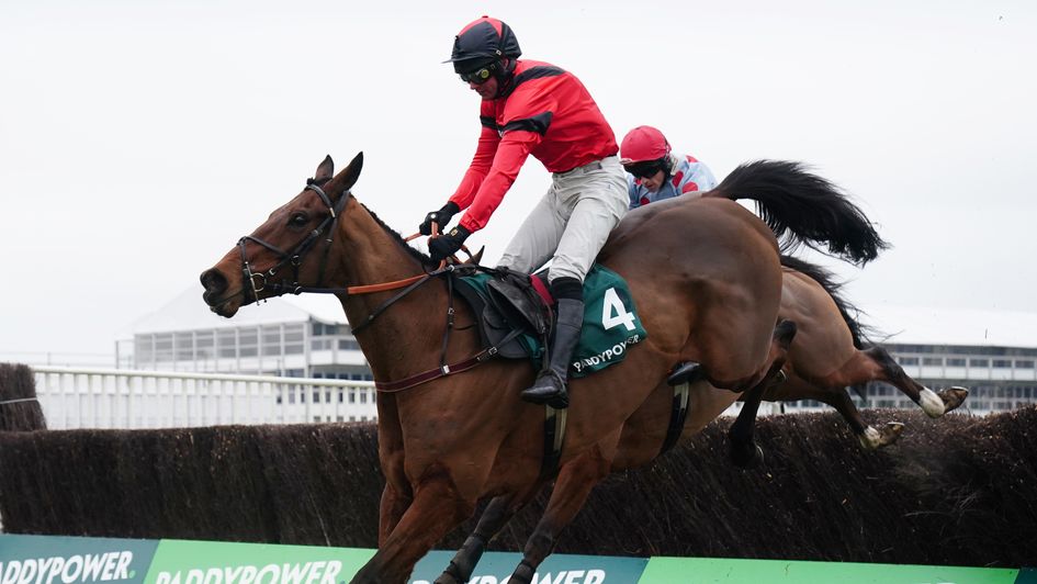 Ahoy Senor leads Sounds Russian over the last