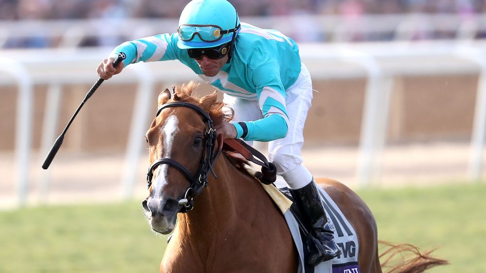 Uni wins the Breeders' Cup Mile