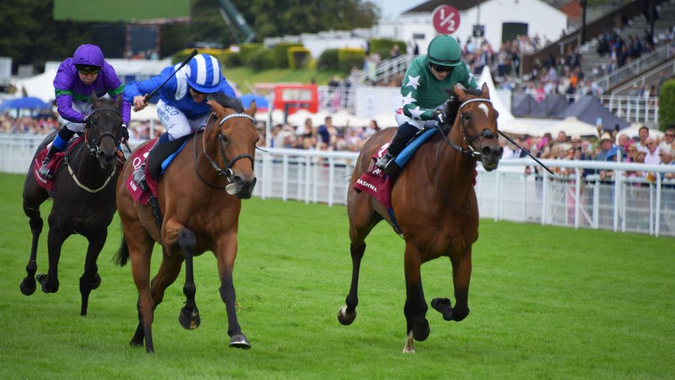 Nashwa can't get past Al Husn at Goodwood