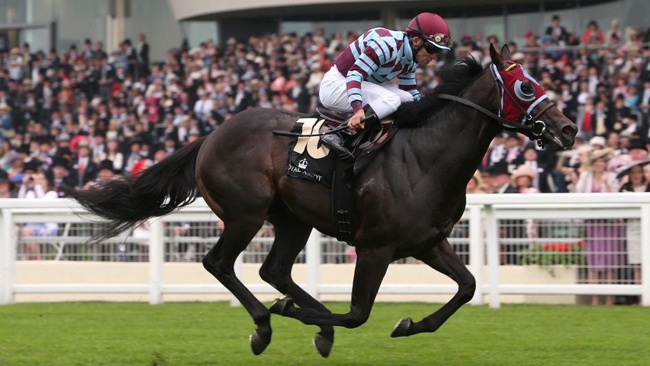 No Nay Never winning the 2013 Norfolk Stakes